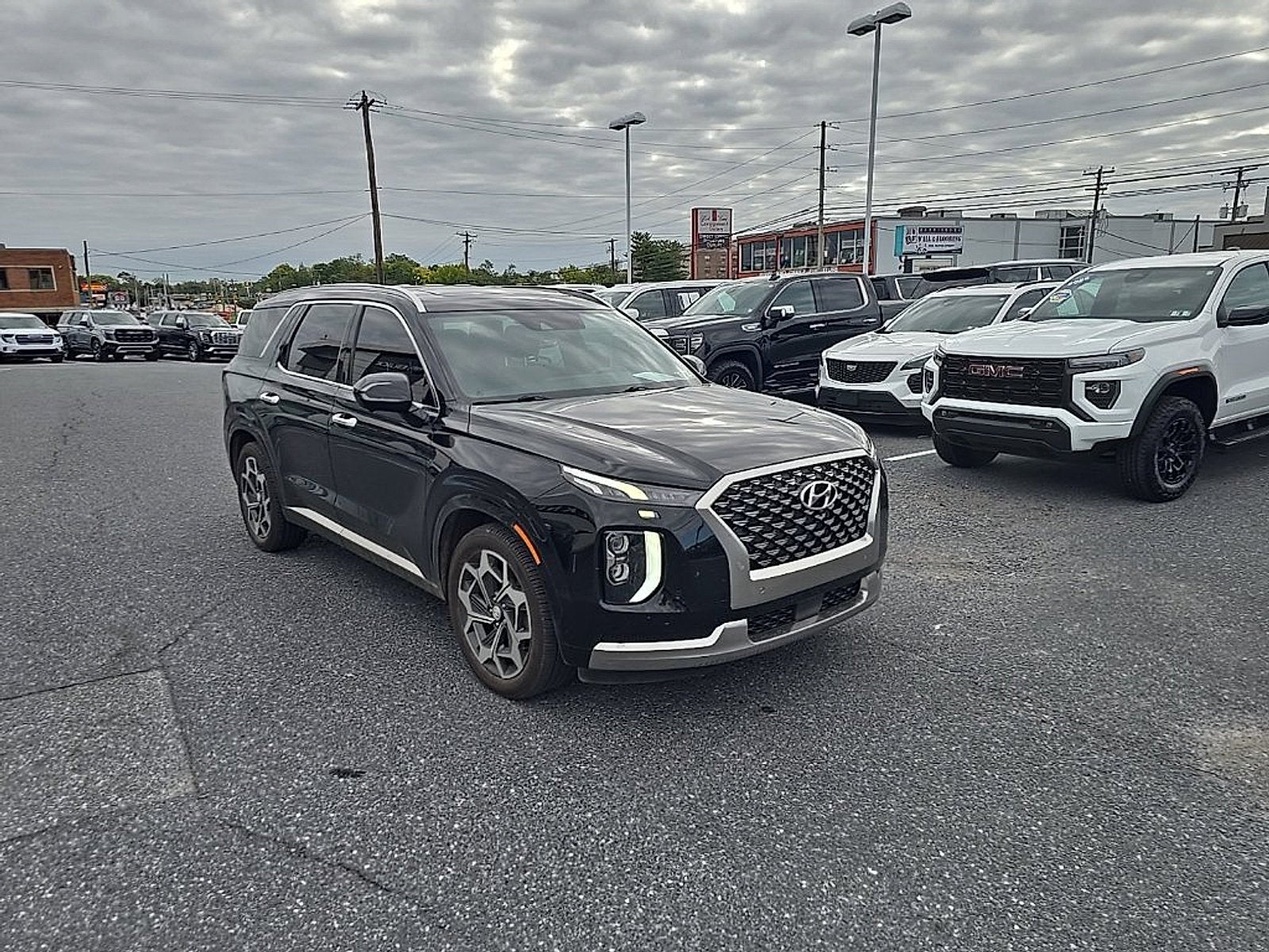 2022 Hyundai Palisade Calligraphy