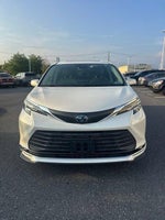 2021 Toyota Sienna XLE AWD 7-Passenger (Natl)