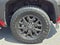 2025 Toyota 4Runner TRD Sport Premium 4WD (Natl)