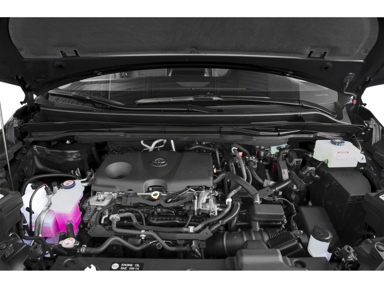 2024 Toyota Sienna LE FWD 8-Passenger (Natl)