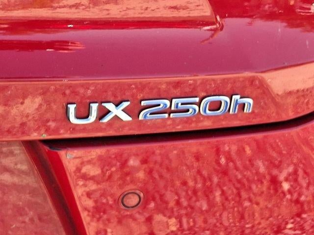 2019 Lexus UX 250h AWD