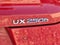 2019 Lexus UX 250h AWD