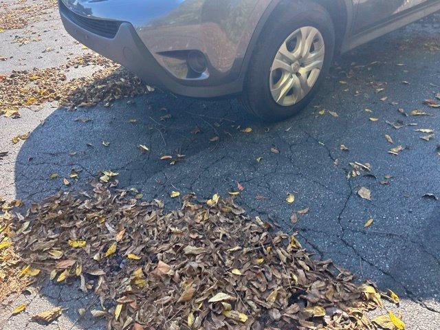 2015 Toyota RAV4 AWD 4dr LE (Natl)