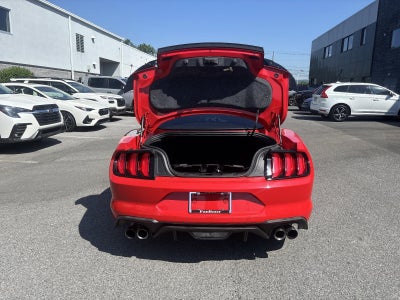 2019 Ford Mustang GT Premium Fastback
