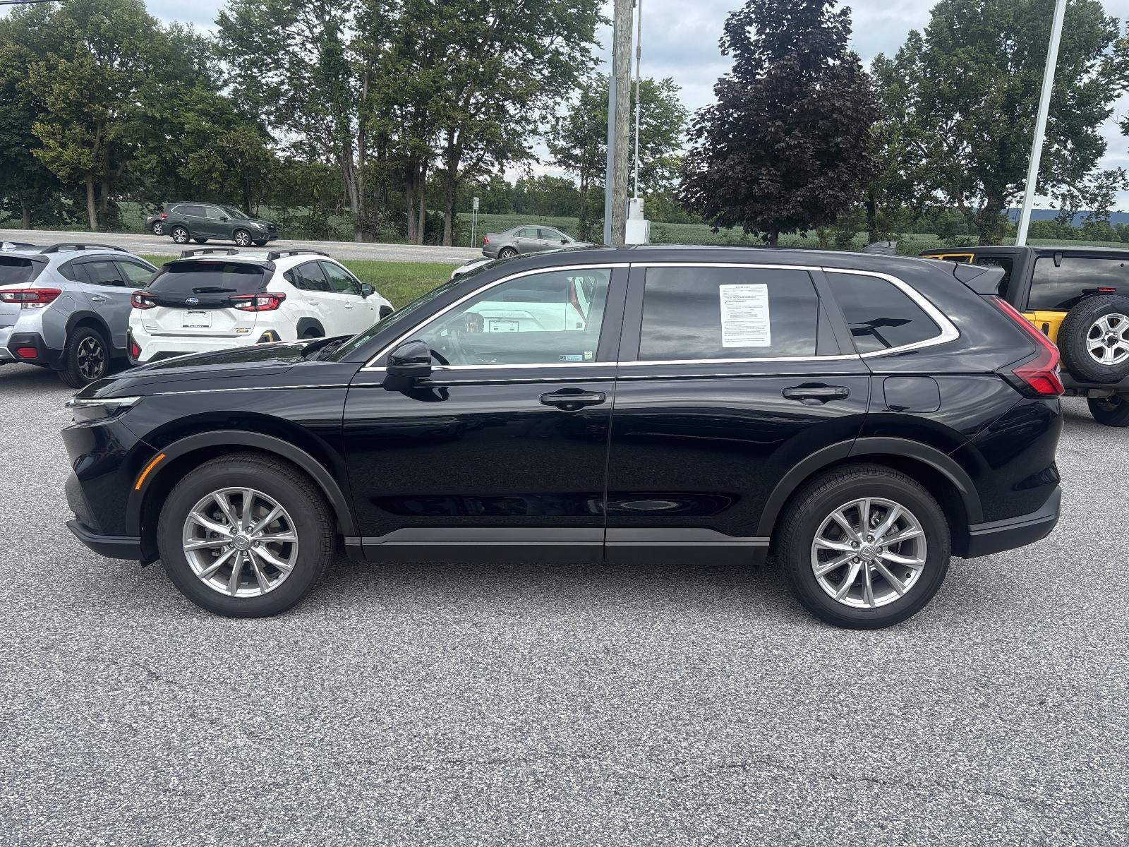 2024 Honda CR-V EX-L AWD