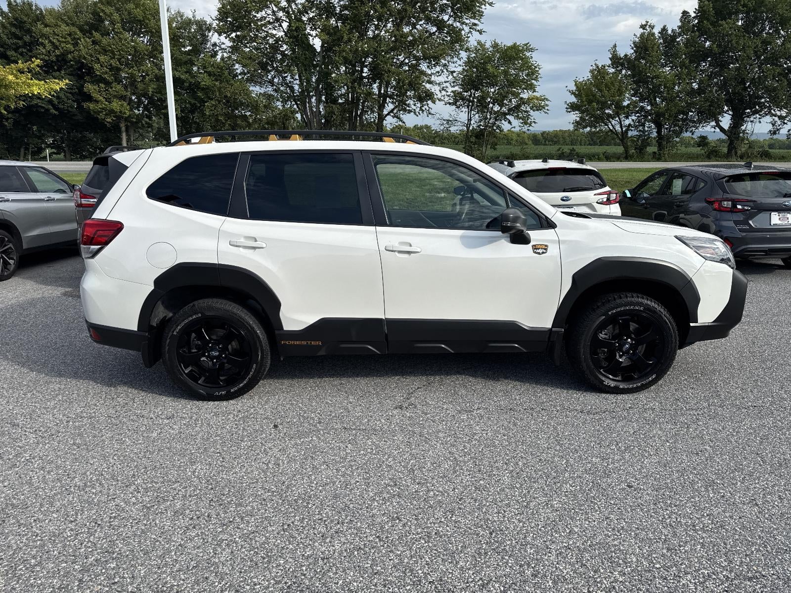 2023 Subaru Forester Wilderness CVT