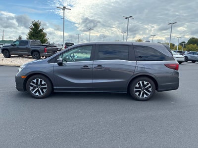2025 Honda Odyssey EX-L