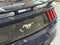 2019 Ford Mustang EcoBoost Fastback