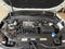 2023 Volkswagen Atlas 3.6L V6 SE w/Technology 4MOTION