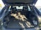 2025 Volkswagen Tiguan 2.0T SE R-Line Black 4MOTION