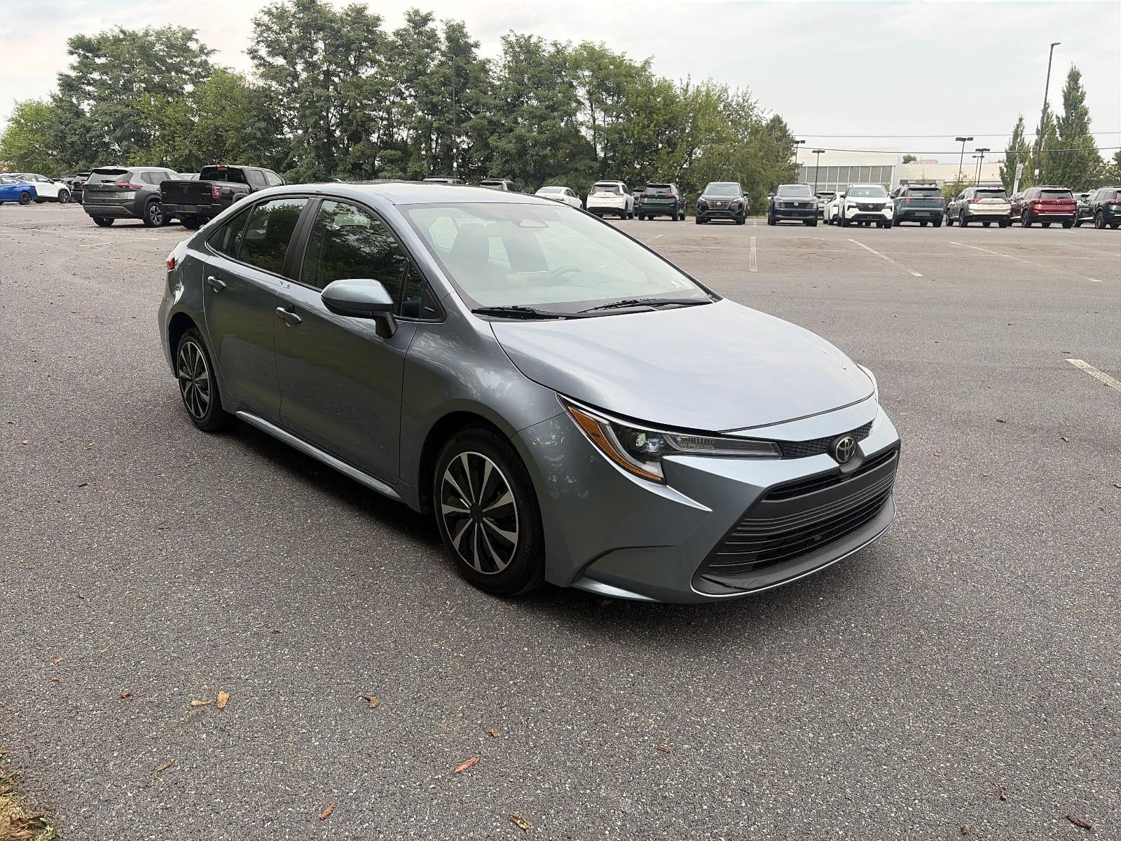 2024 Toyota Corolla LE CVT (Natl)