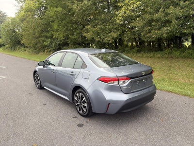 2024 Toyota Corolla LE CVT (Natl)