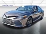 2024 Toyota Camry XLE Auto AWD (Natl)