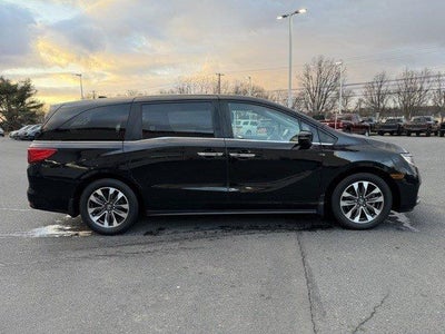 2023 Honda Odyssey EX-L Auto