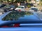 2020 Subaru Forester Sport CVT