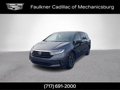 2022 Honda Odyssey Elite