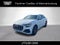 2023 Audi SQ8 Premium Plus