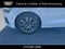 2023 Audi SQ8 Premium Plus