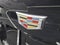 2019 Cadillac XT4 AWD 4dr Premium Luxury