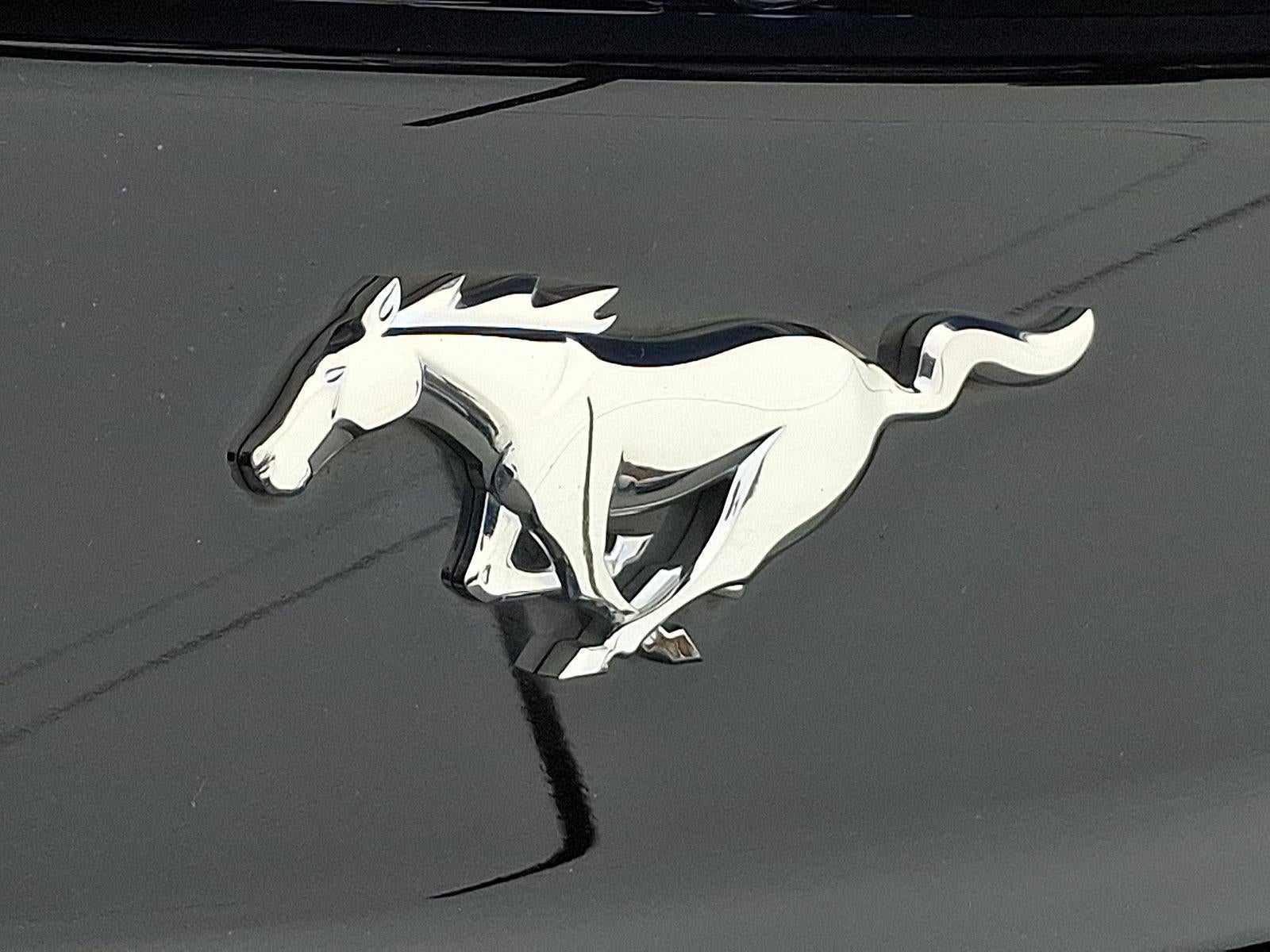 2016 Ford Mustang EcoBoost