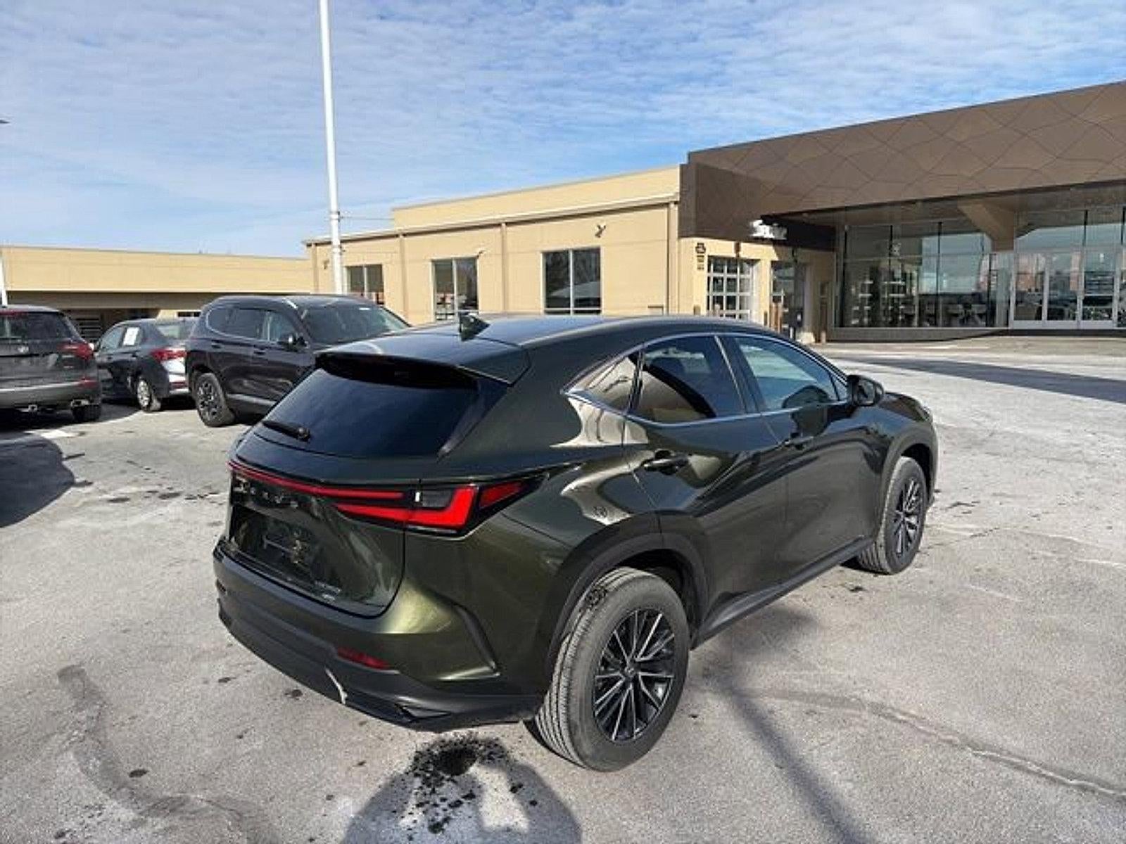 2024 Lexus NX 350 NX 350
